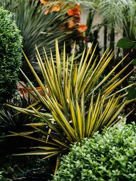 Green background of various plants in a plant store for sale Stock Photos