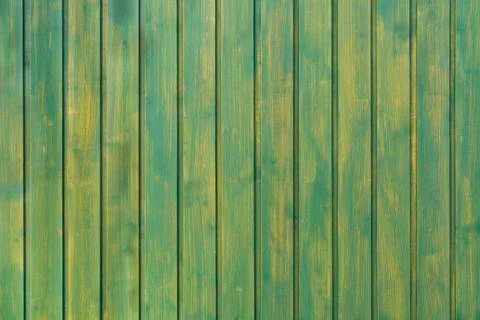 Green background of vertical boards. Smooth and clean tree background. Wooden 库存照片