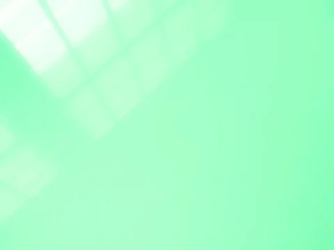 Green background wall shadow light summer sunight overlay nature on room Stock Illustration