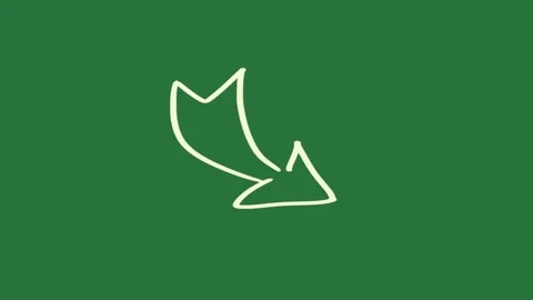 A green background with white arrow in the middle and on bird it icon outline Vidéo 335131779