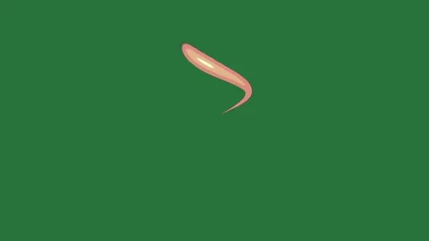 A green background with white border and pink flower in the middle on line Video stock 335065482