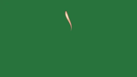 A green background with white border and an image of screen arrow pointing to Video stock 335065483