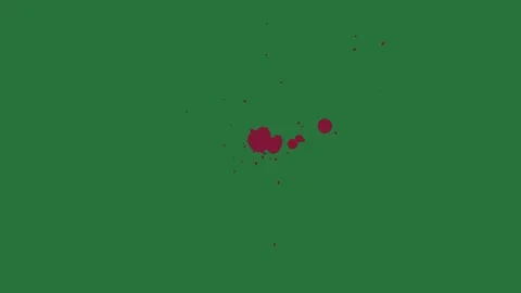 A green background with white border and screen red circle on it dot green Video stock 335065631