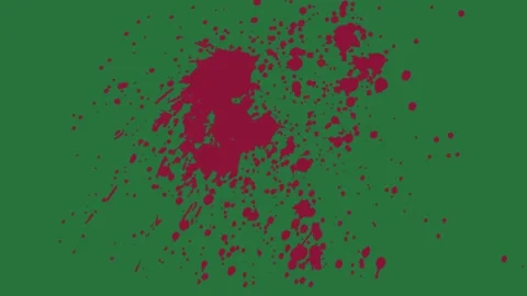 A green background with white border and screen the text, ' what s problem? Video stock 335065647