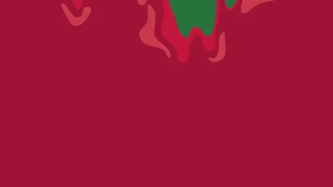 A green background with white border and screen red star on it flower Video stock 335066170