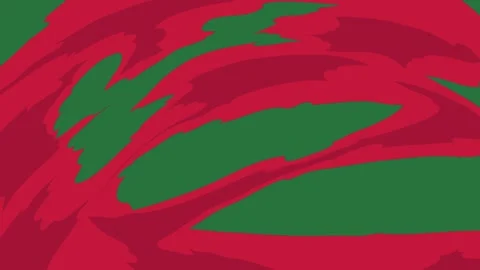 A green background with white border and red feather on close up of christmas Video stock 335066487
