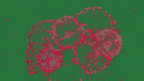 A green background with white border and screen black red dot on it some dots Vídeo Stock 335067027