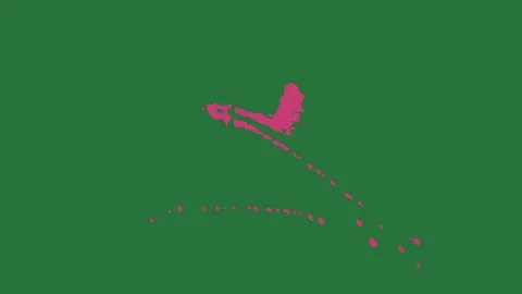 A green background with white border and screen red bird on it map of new Видео 335122227