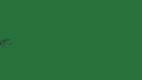 A green background with white border and screen black image tree in the middle Видео 335122494