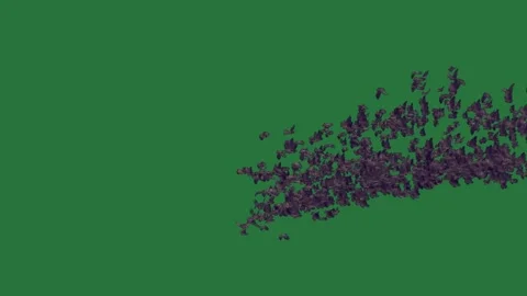 A green background with white border and screen black cat on it bunch of Vídeo Stock 335122497