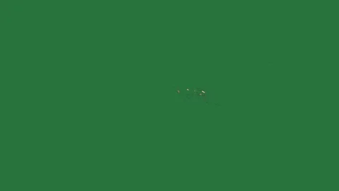 A green background with white border and an image of screen gold star on it Video stock 335122576