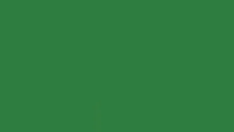 A green background with white border and black screen red box on it object Video stock 335130087