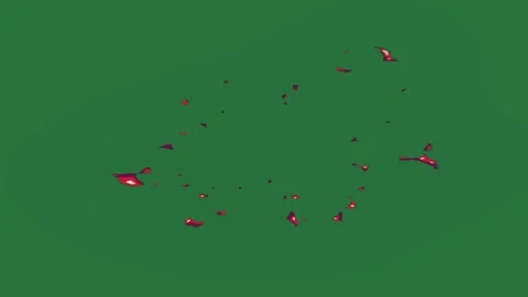 A green background with white border and red flower on screen dots it green Video stock 335681491