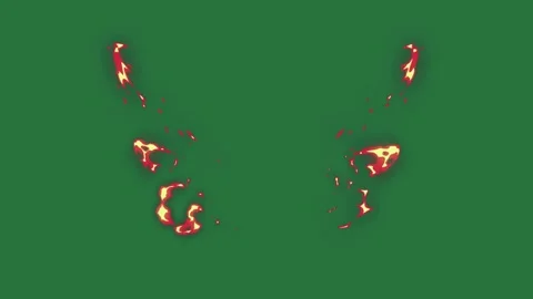 A green background with white border and bird flying in the air on screen fire Stock Footage 335681497