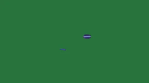 A green background with white border and the sky is blue screen ring on it Stock Footage 335683617