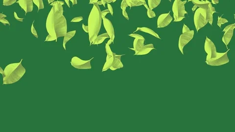 A green background with white border and black yellow leaves flowers on it Stock Footage 335977783