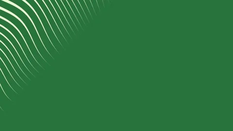A green background with white border and lines striped pattern on plant grass Stock Footage 337335574
