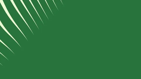 A green background with white border and wavy lines leaf on grass green screen Stock-Footage 337335576