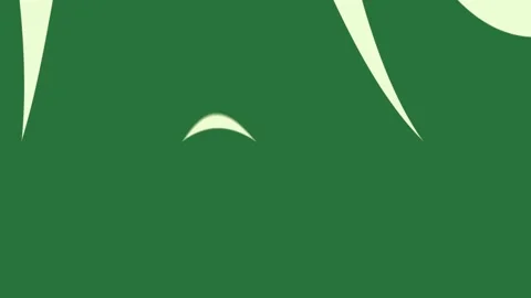 A green background with white border and wavy lines wave pattern on zebra 動画素材 337335603
