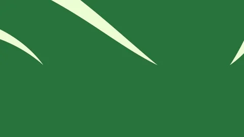A green background with white border and lines logo leaf grass leaves swirls Video stock 337335608