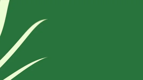 A green background with white border and lines wavy blank paper wave pattern 動画素材 337335620