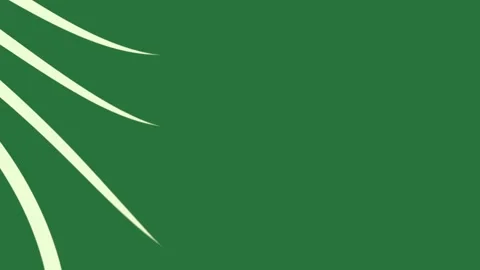 A green background with white border and wavy lines blank paper wave pattern 動画素材 337335625