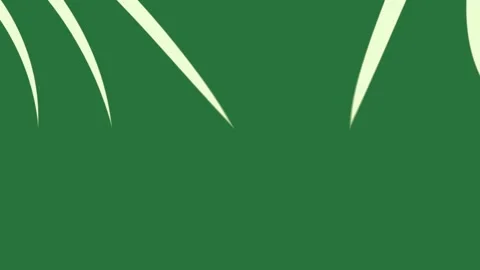 A green background with white border and wavy lines blank paper green screen Stock Footage 337335629