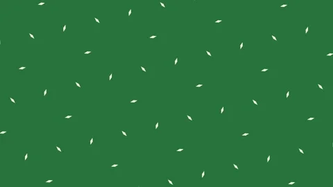 A green background with white border and leaves geometric pattern star stars Stock Footage 337336150