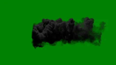 Green background white border bear is standing front screen black smoke cloud Stock Footage 314063937