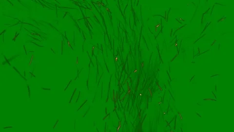 Green background white border fire middle screen bunch grass tree green screen Stock Footage 314064415