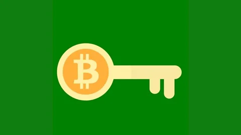 Green background white border letter b key bit coin egg green screen animated Stock Footage 314064809