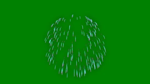 Green background white border purple flower fireworks middle palm tree screen Stock Footage 314064476