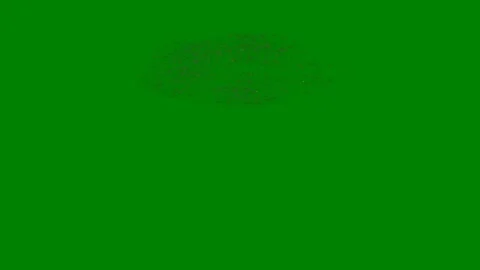 Green background white border screen arrow pointing to right star middle black Stock Footage 314063952