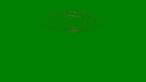 Green background white border screen tree middle green screen animated chromakey Stock Footage 314063956
