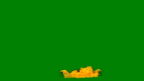 Green background white border screen fire middle burns bunch yellow flowers Stockbeeldmateriaal 314064502