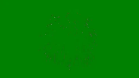 Green background white border star burst firework screen fireworks middle green Stock Footage 314064462