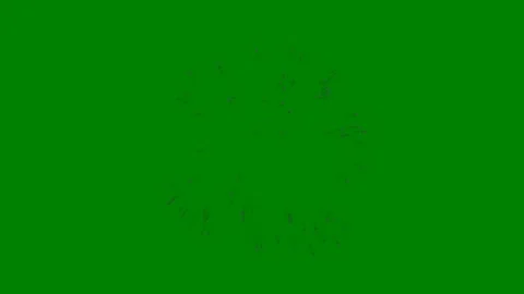 Green background white border star middle screen fireworks spider firework green 스톡 동영상 314064466