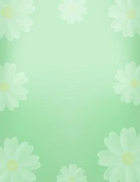 Green background with white chamomile, spring floral ornament. 스톡 일러스트
