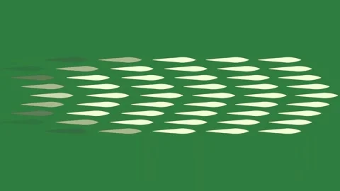 A green background with white circles on it and screen fish silhouettes green Видео 335130718