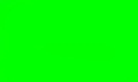 The green background with a white gradient is perfect for those of you who .. Stock Photos