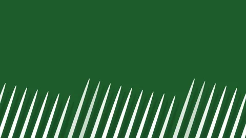 Green background with white line design in 4k video. Stock Footage 147187773