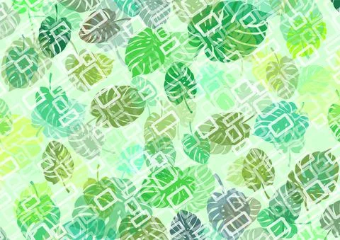 Green background with white rectangles with leaves of a plant called monstera as Illustration
