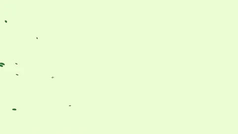 A green background with white star in the middle and map on splash of paint Stock-Footage 335696801