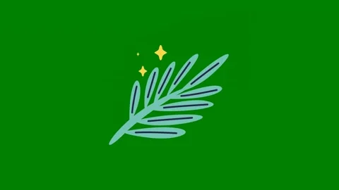 Green background yellow flower leaf star the middle pine branch plant green Video stock 314067674