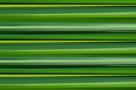 Green background yellow lines horizontal texture leaf nature pattern Stockillustratie