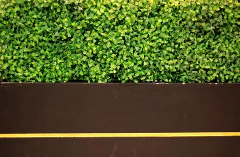 Green backgrounds Stock Photos