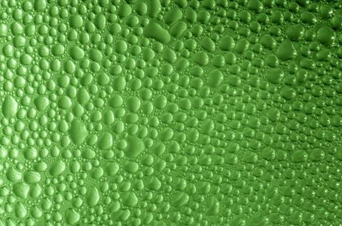 Green backlighted droplets as an abstract background Fotos Stock