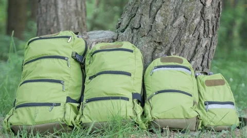 Green backpacks of different sizes stand on the grass near the tree in the Stock Footage 76909832