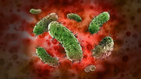 Green bacteria group in blood under microscope. 3D illustration Stock Illustration