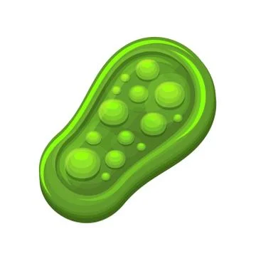 Green Bacteria Icon on White Background. Vector Stock Illustration